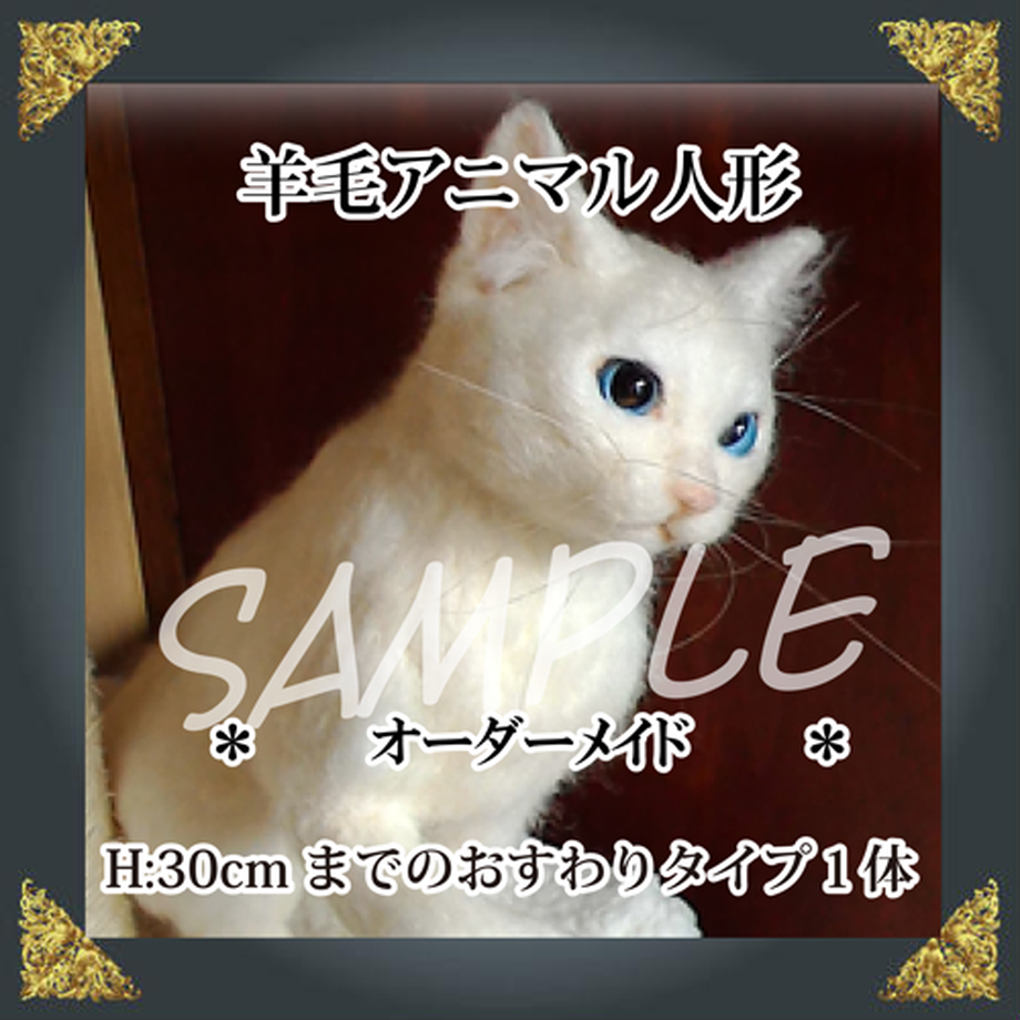 5906d08db1b6198030000338