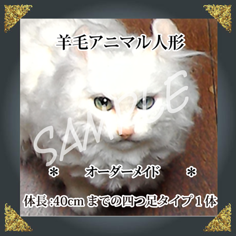 5906d40ef22a5bbc26000c70