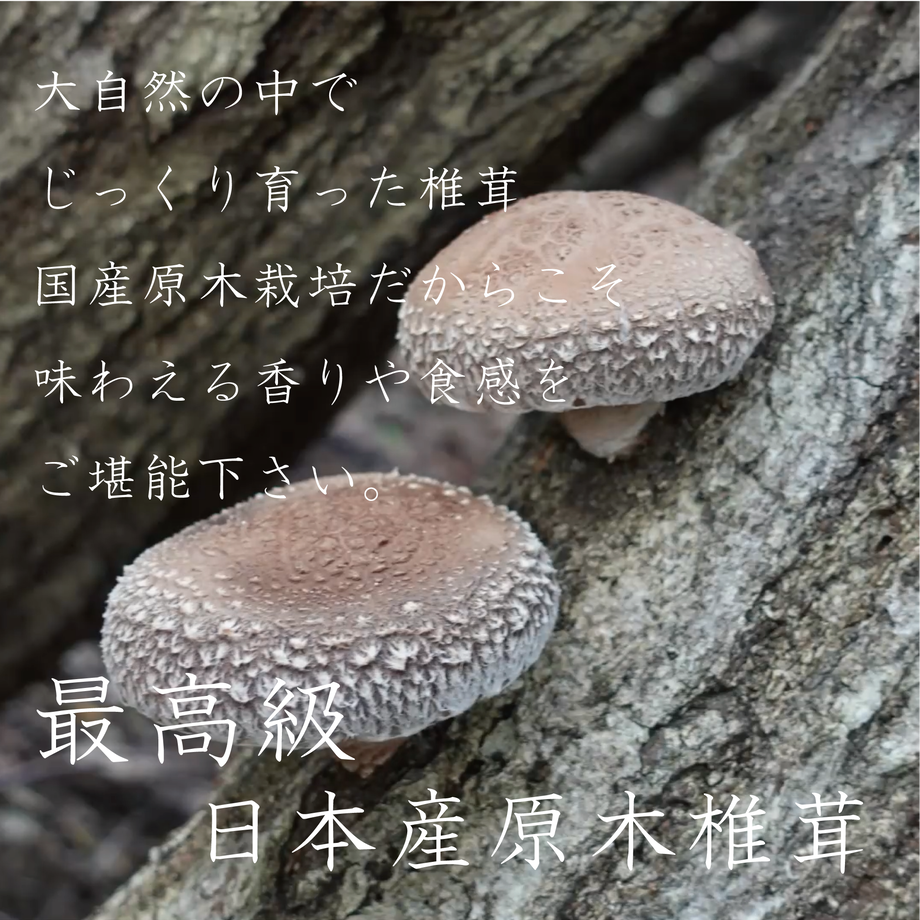 621f2b349a7062180e55c47d