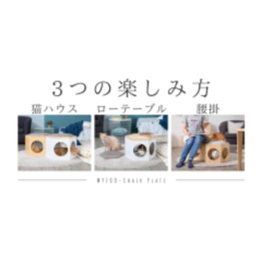 61a5e170b91b7502d8eb6b6c
