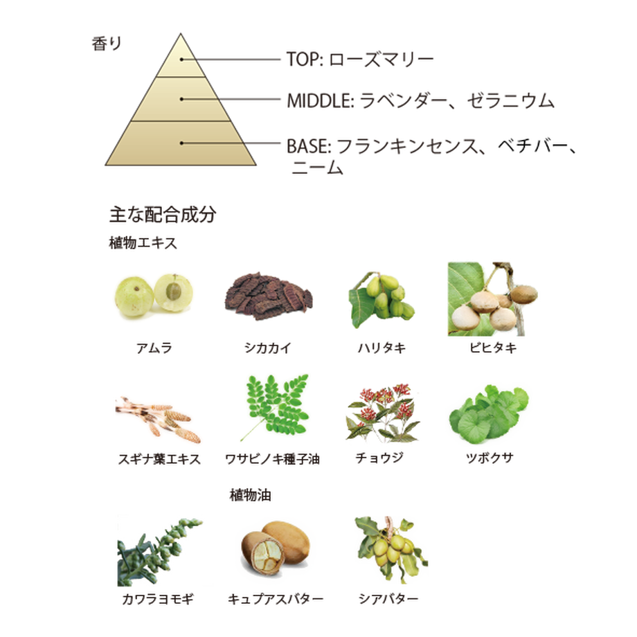 5f5da1b58f2ebd7fa06401e0