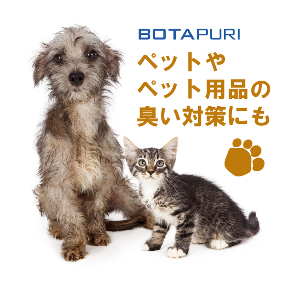 5ffbe2ddf0b108050a0fbc5a