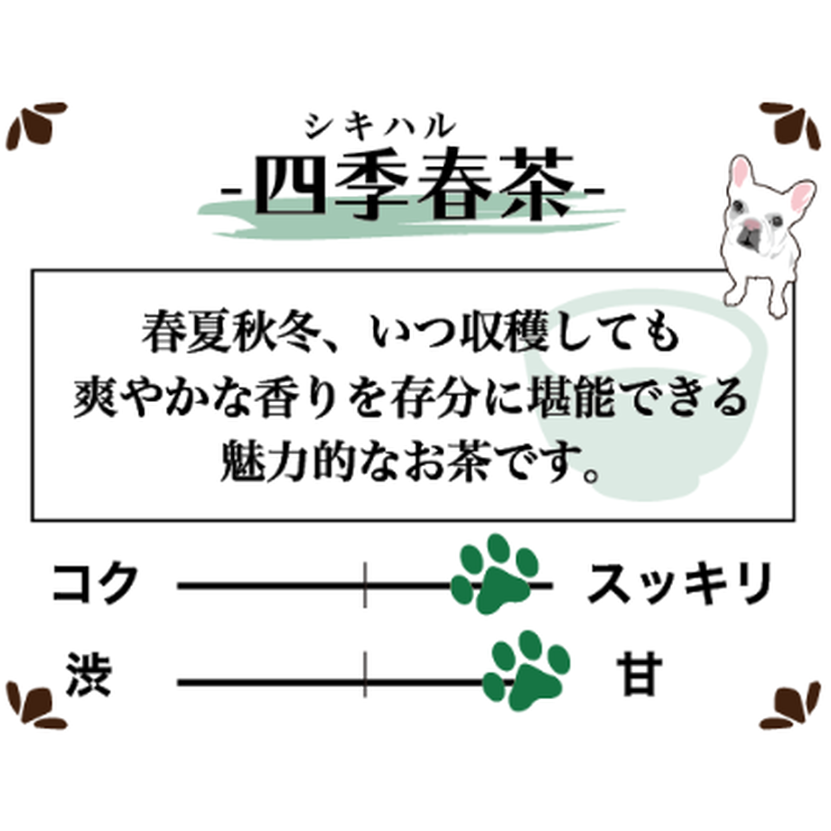 6050130d2438605a9c8c7c54