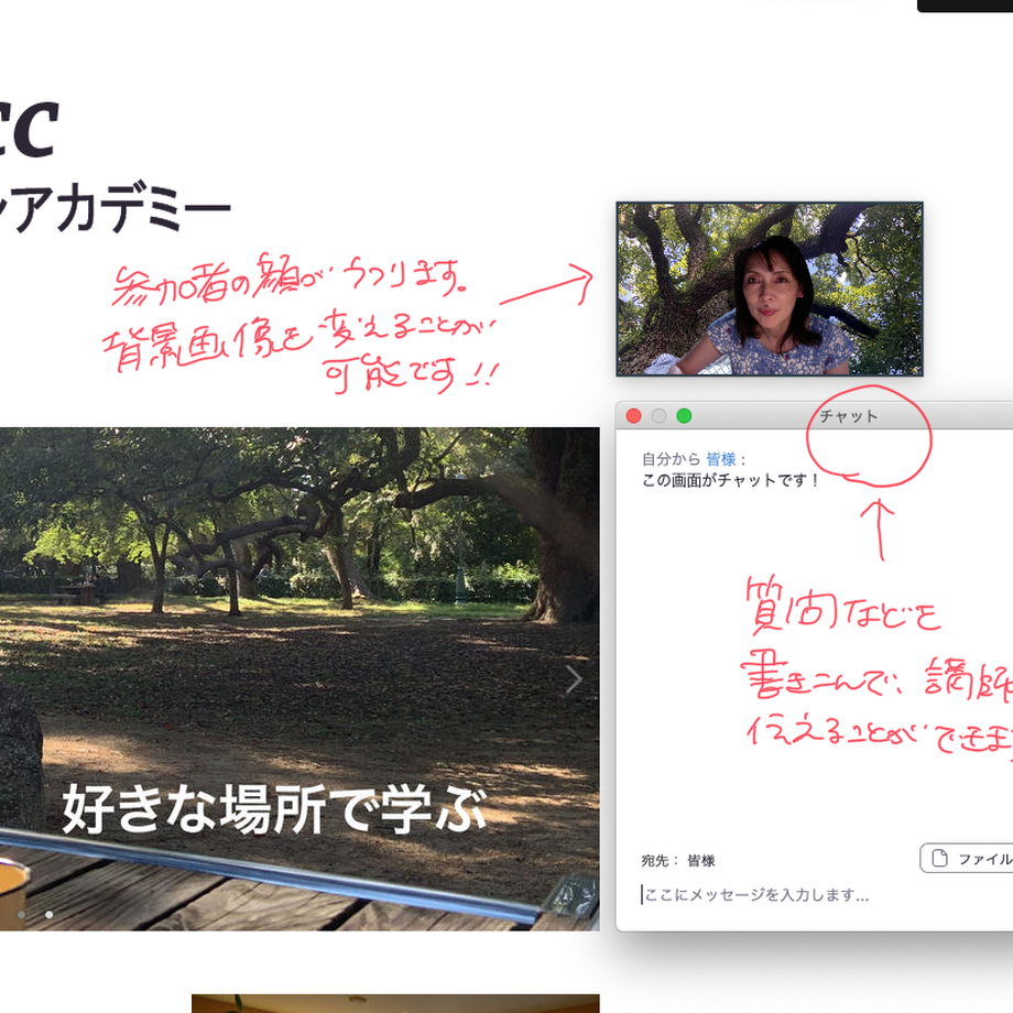 60f417c90d4f3a7eafe292db