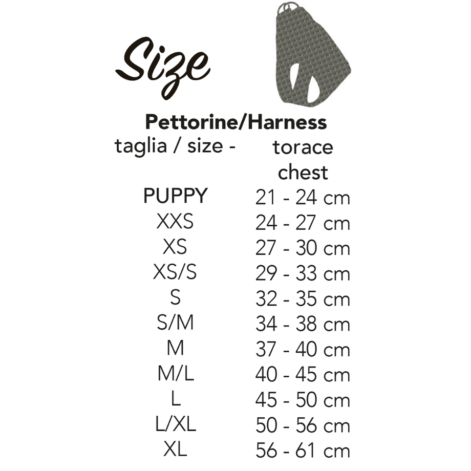 62c002b84ff8c21c67bb663d