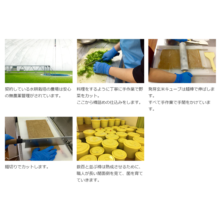 6136f881acbcb05fe10f243c
