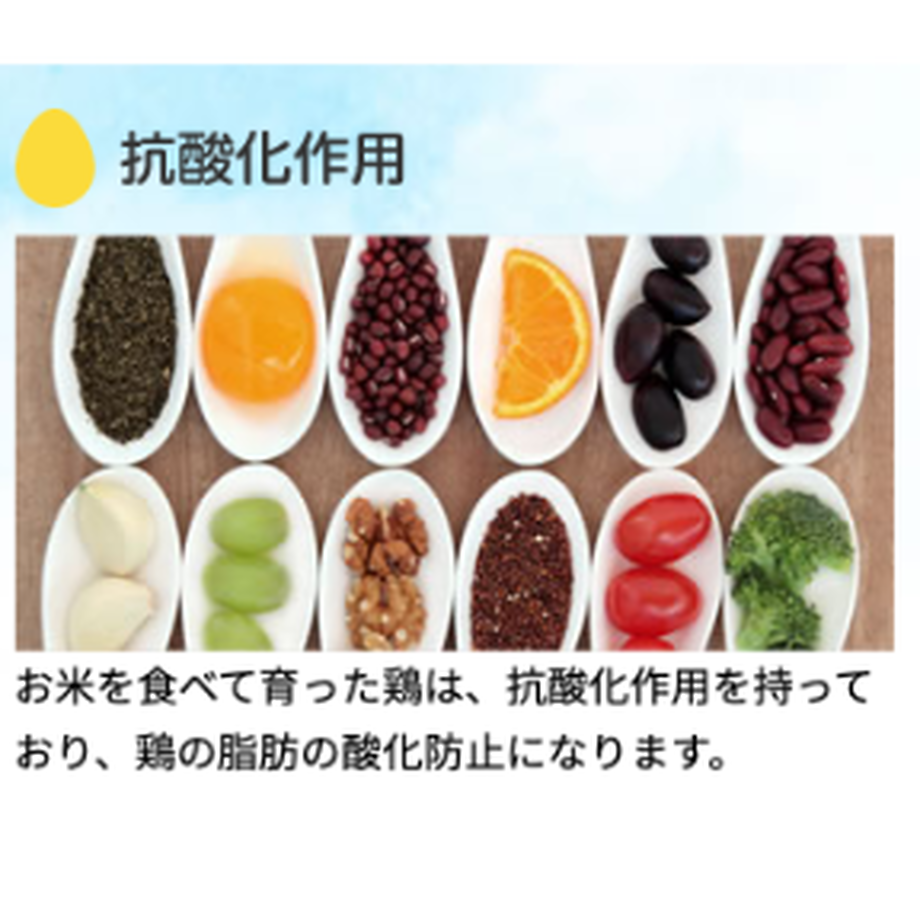 5ed0915ccee9ea7ae4e0bb8f