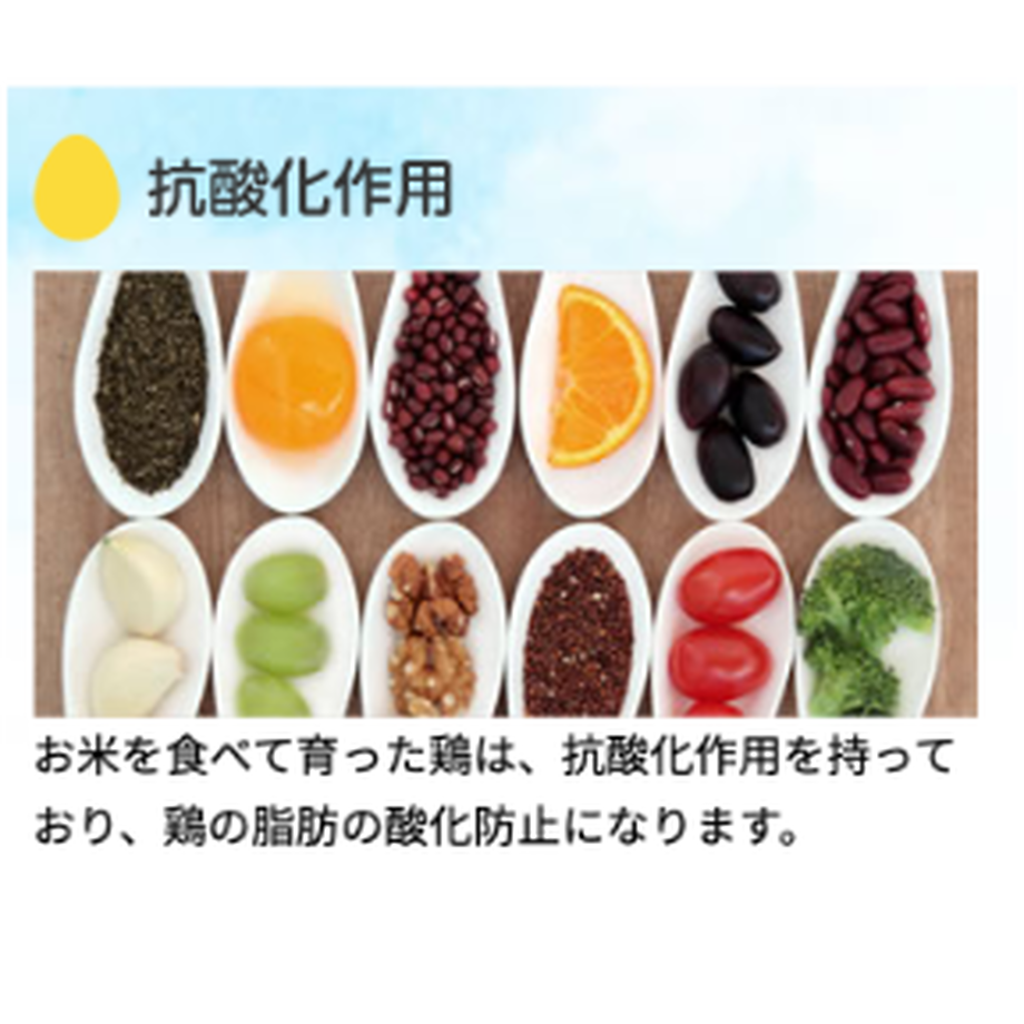 5ecca486cee9ea06cacdf5bb