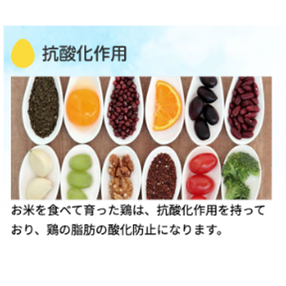 5e057e830cc8de56ad51ca59