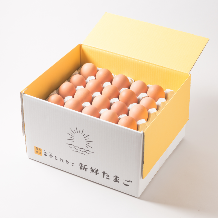 5e057e830cc8de56ad51ca59