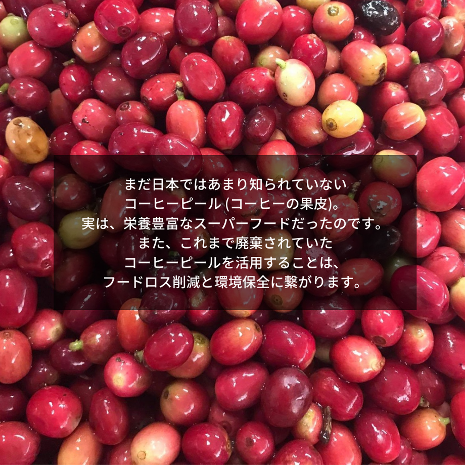 5c4961f1787d846a65dc8b9a