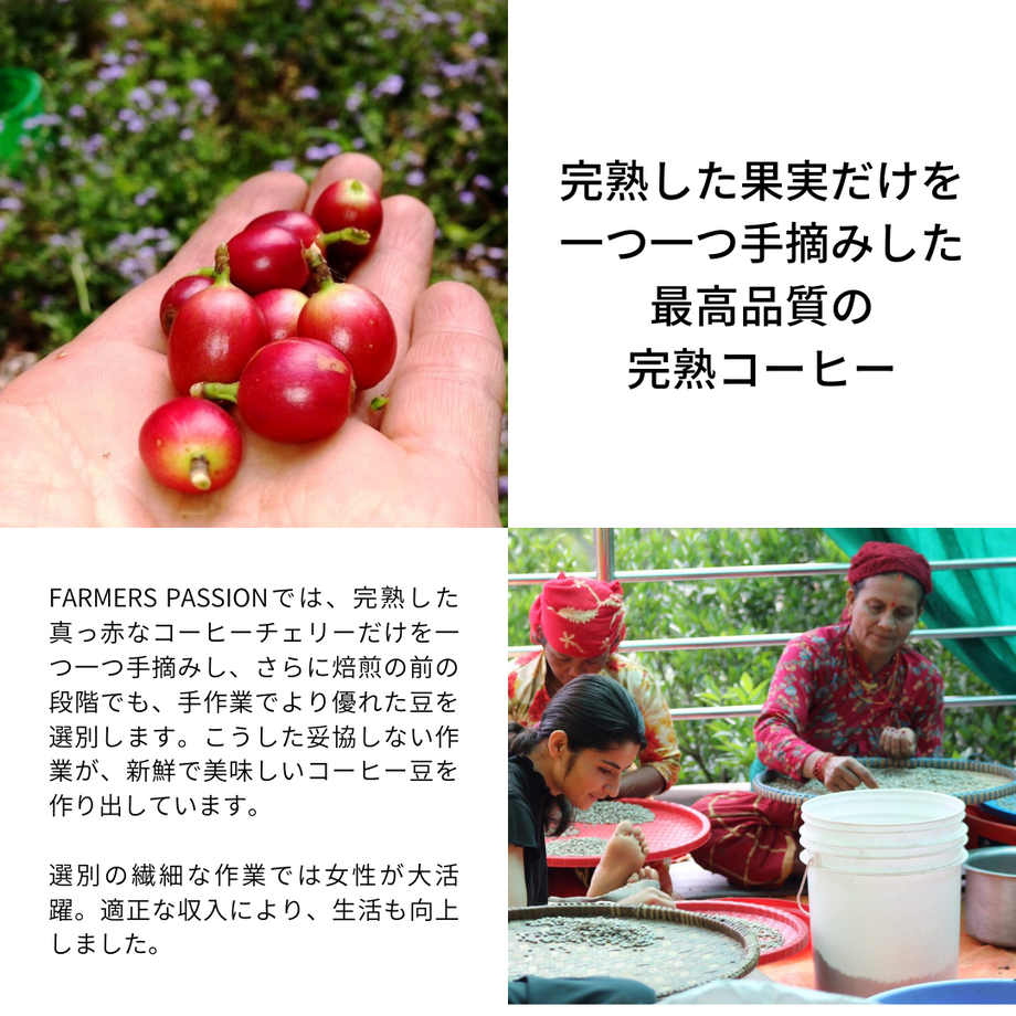 632d1778a74e33761fff5581