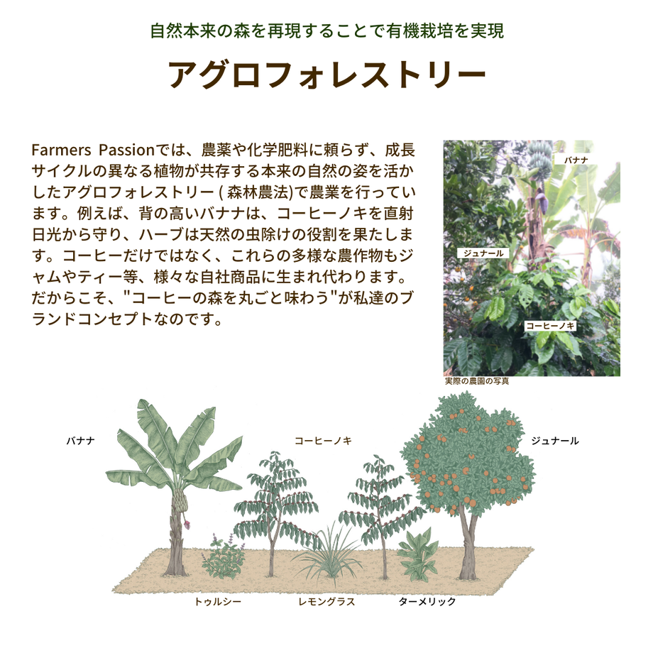 5f2d4edc7df2811093c01765