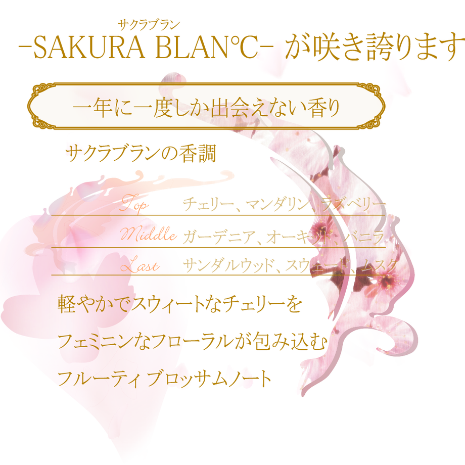 5fe4389ff0b1087c1040ec00