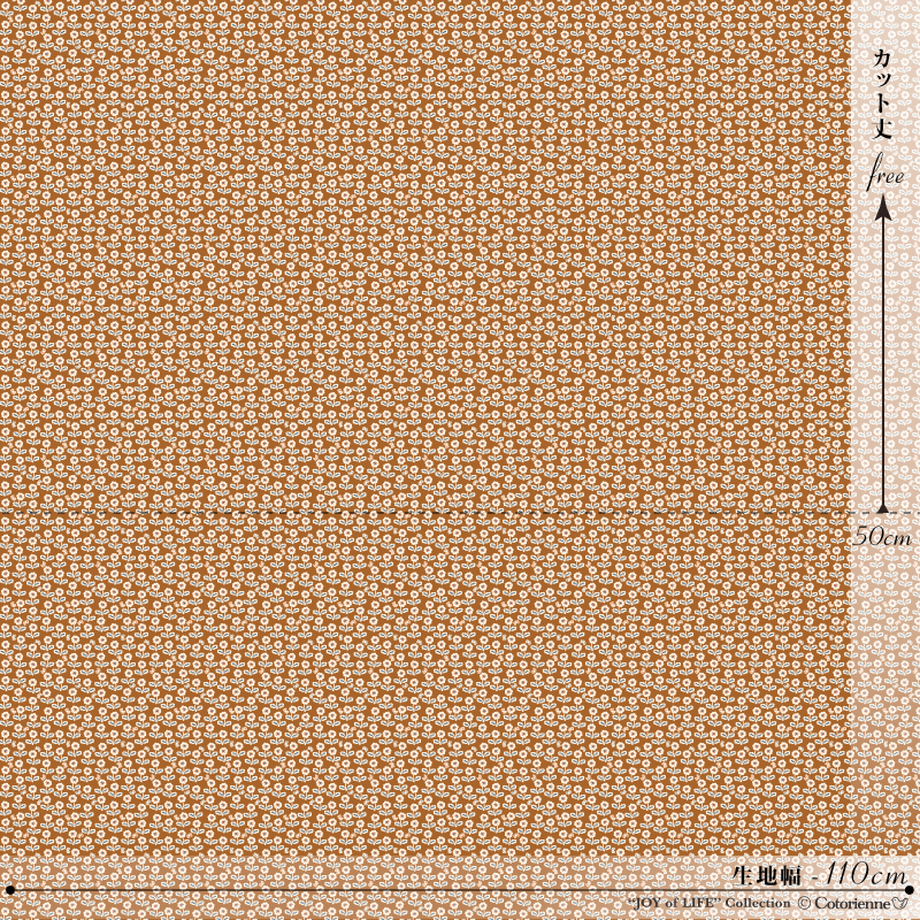 541ffcf186b1887f360001c9