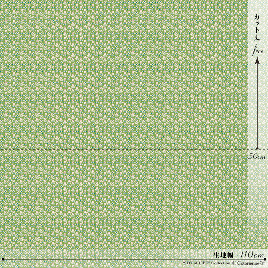 541ffc552b3492563f0001c4
