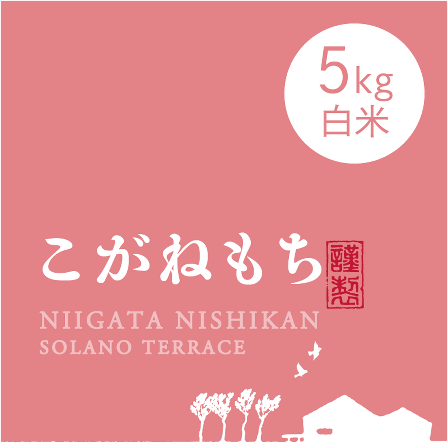 59ae5b683210d519a60001f0