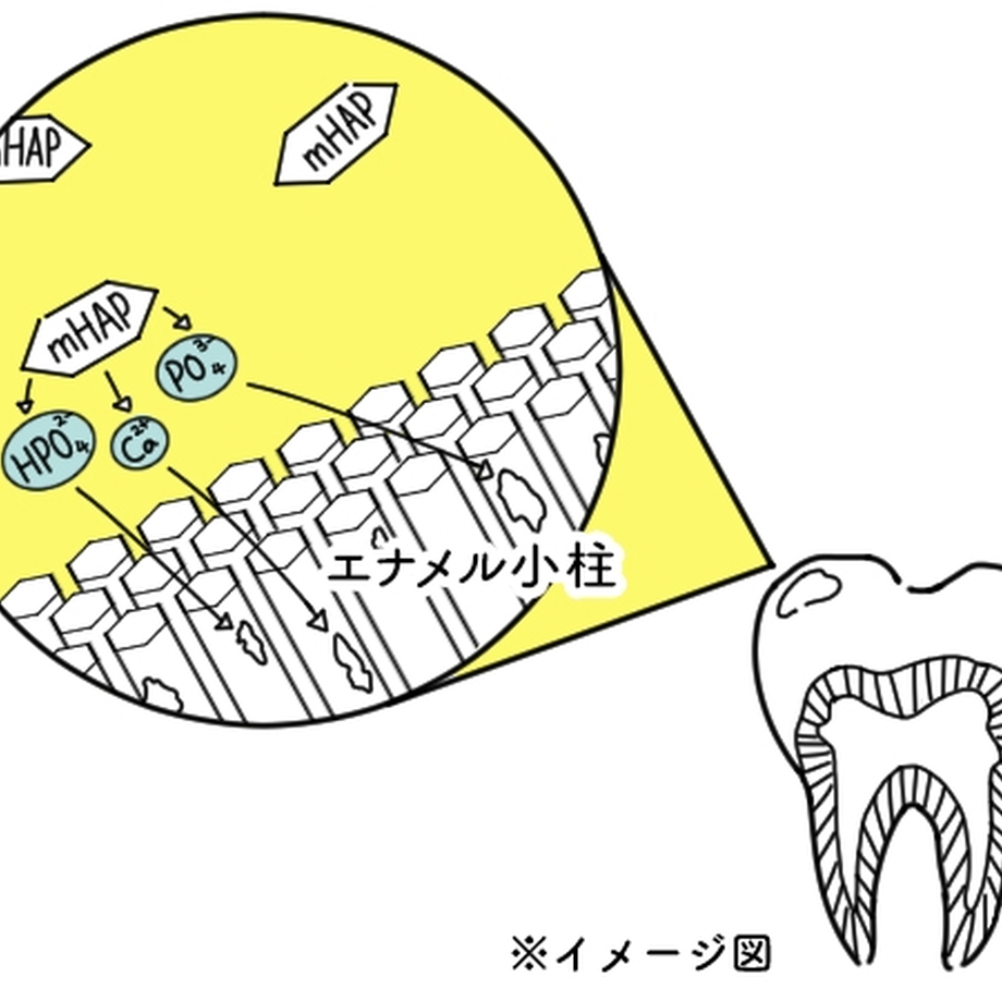 5ebcffbd55fa037d9fea2044