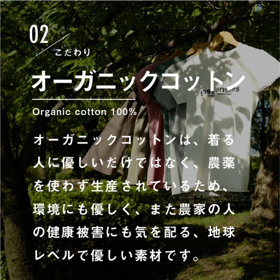 62122eb51dca3230ceb2bd46