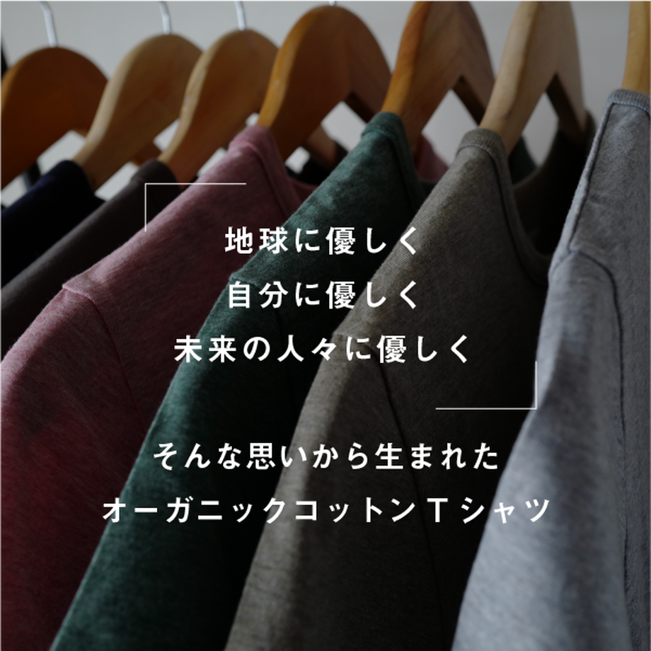 61c2d589b91b75630abbbe37