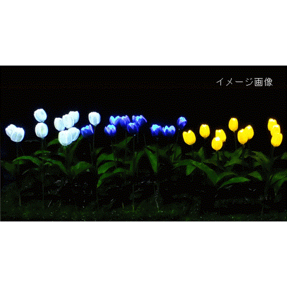 5b7e5a625496ff042d0009c7