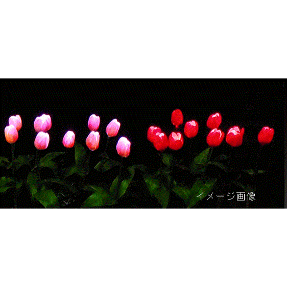 5b7e5a625496ff042d0009c7