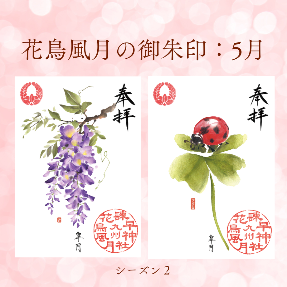 6235e9304773a34c00f26d2e
