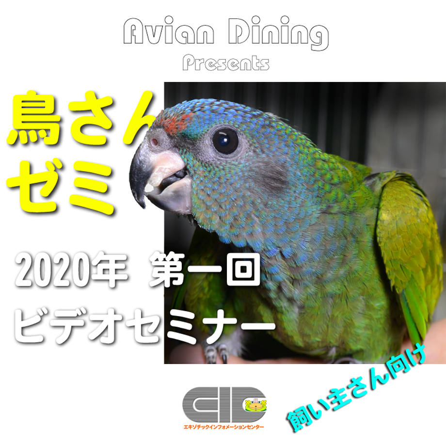 5ebb9c1fbd217821b6c57bdc