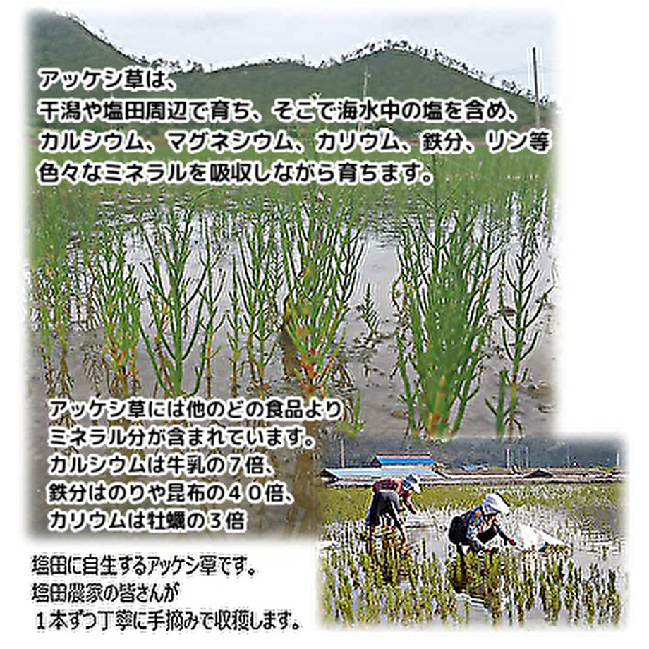 6268bd9cb049a338c8f21a8e