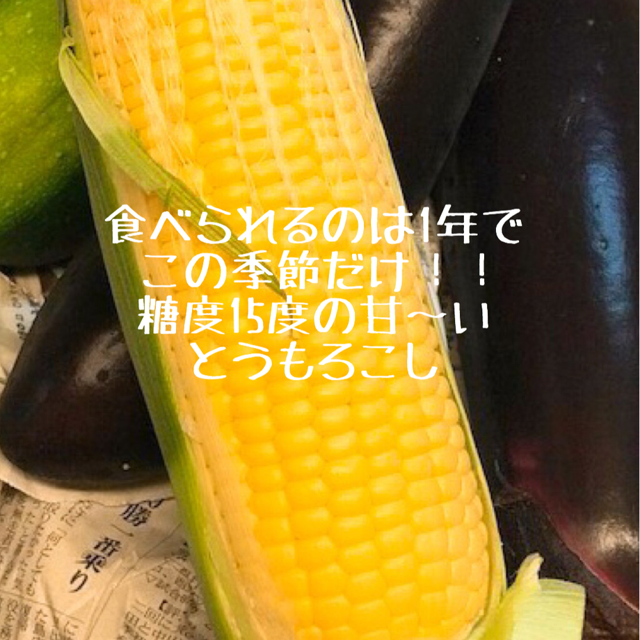 5ceb2da8c4dd7f73dd6e9b82