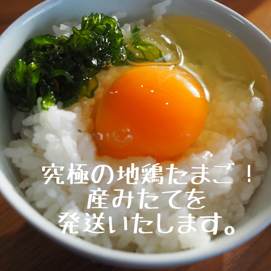 5b38805050bbc3293f000a7f