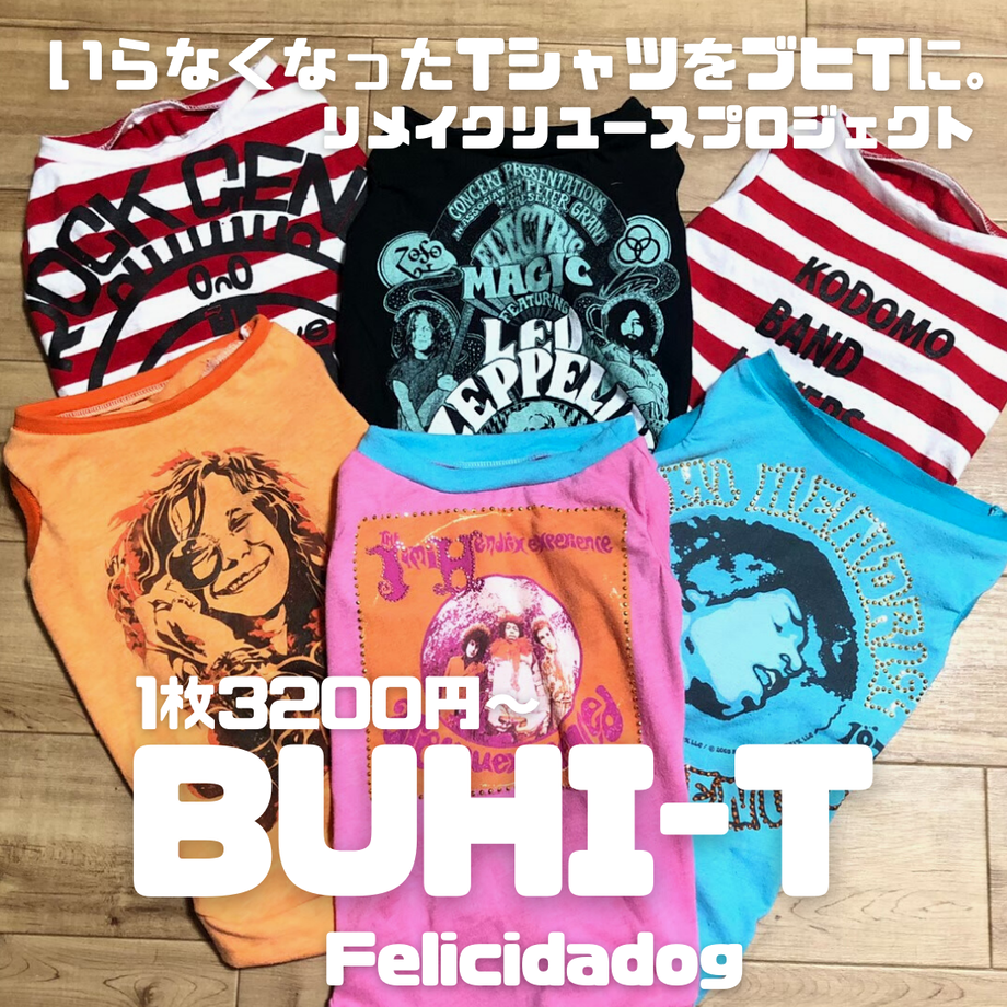 61111aa584ca634ba6416582