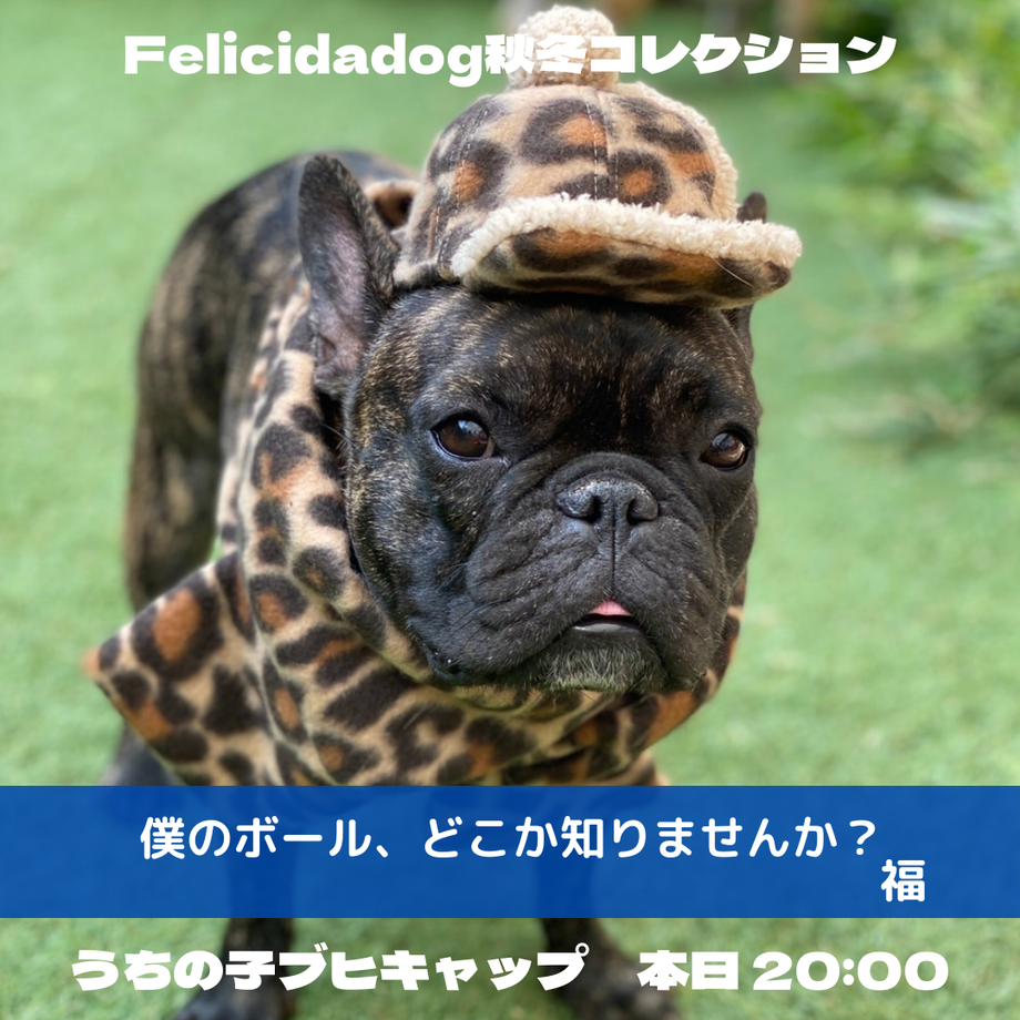 6166ad39a7e56018b931919f