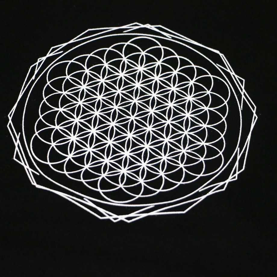 5fd5d9e9da019c692bdee8d1