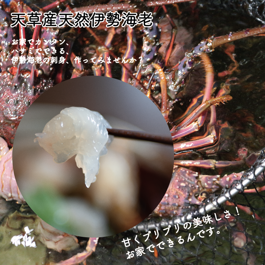 6125f1ac2b2d3d748c0a14b6