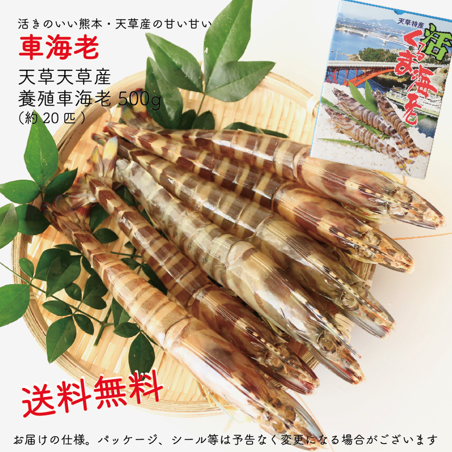 6167b3e17d5d81081eccf68c