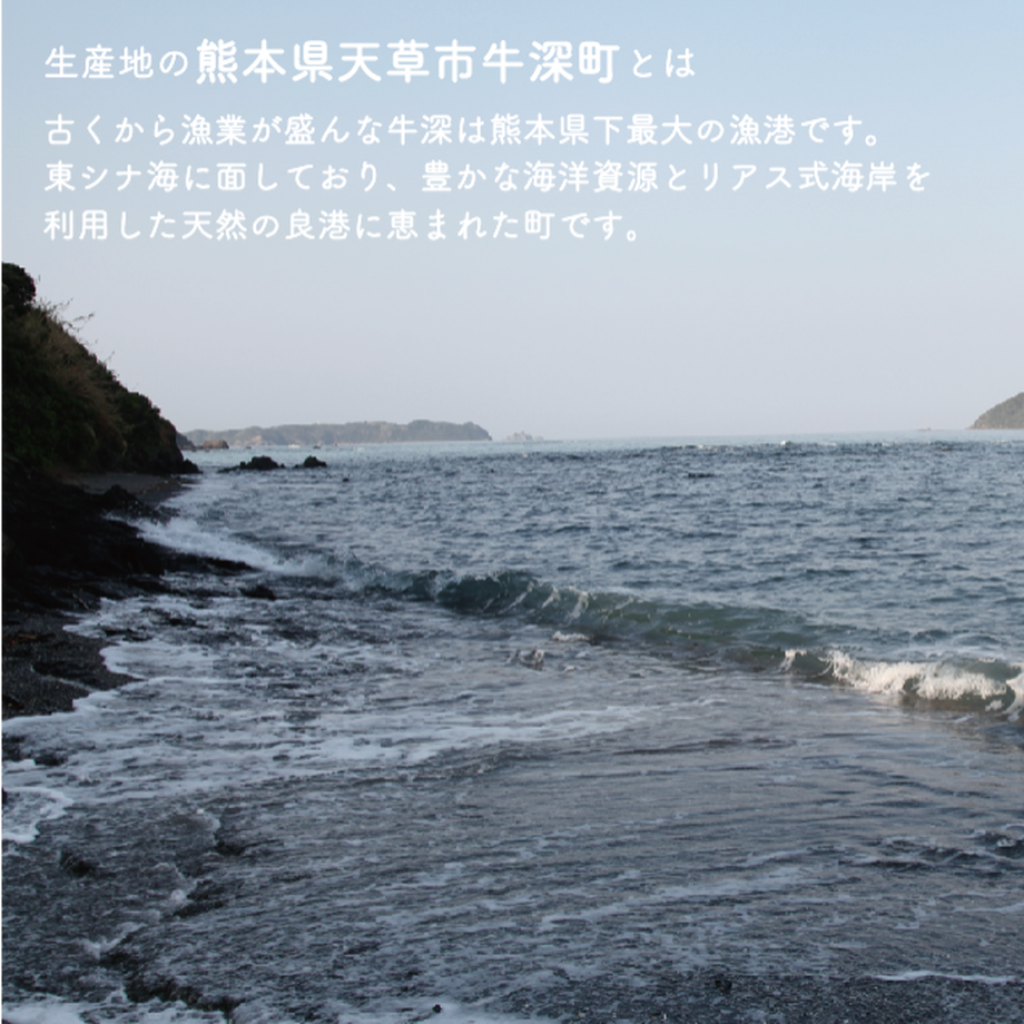 5ebf93c455fa033d5a713c0d