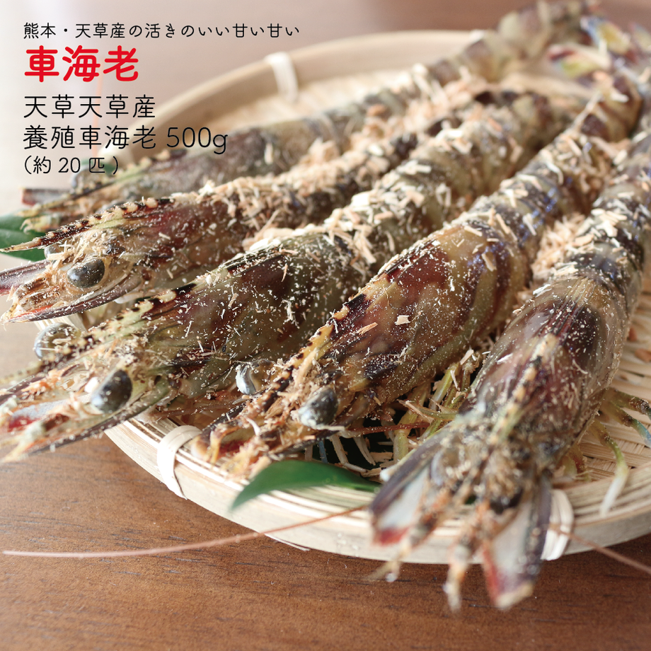 6167b3e17d5d81081eccf68c