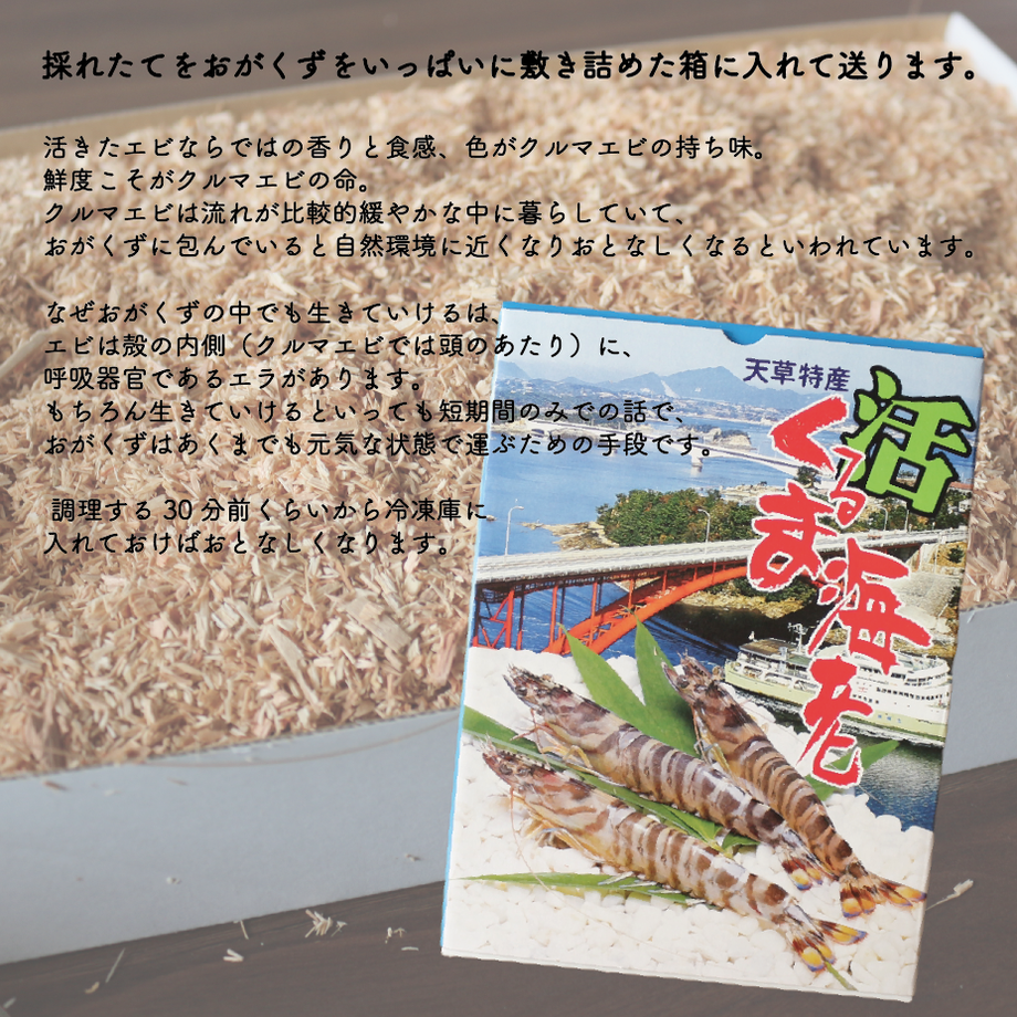 6167b3e17d5d81081eccf68c