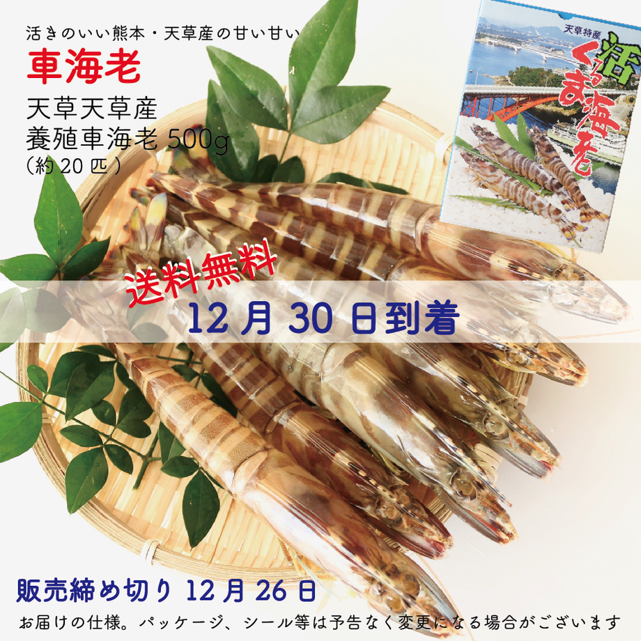 5fdaf5ff8a4572655d4092d1