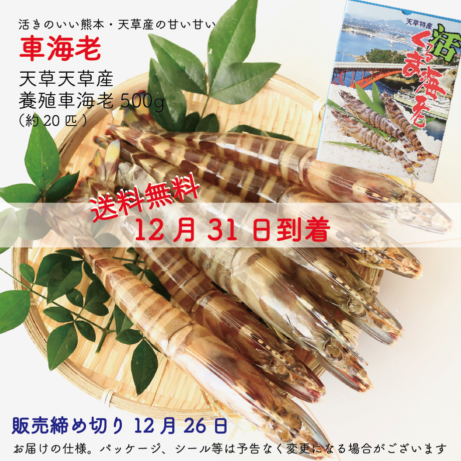 5fdaefd872eb4652491cc897