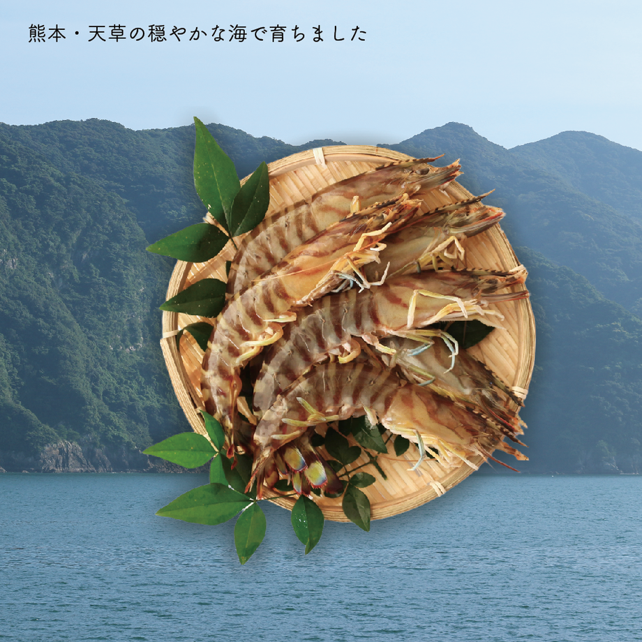 6167b3e17d5d81081eccf68c