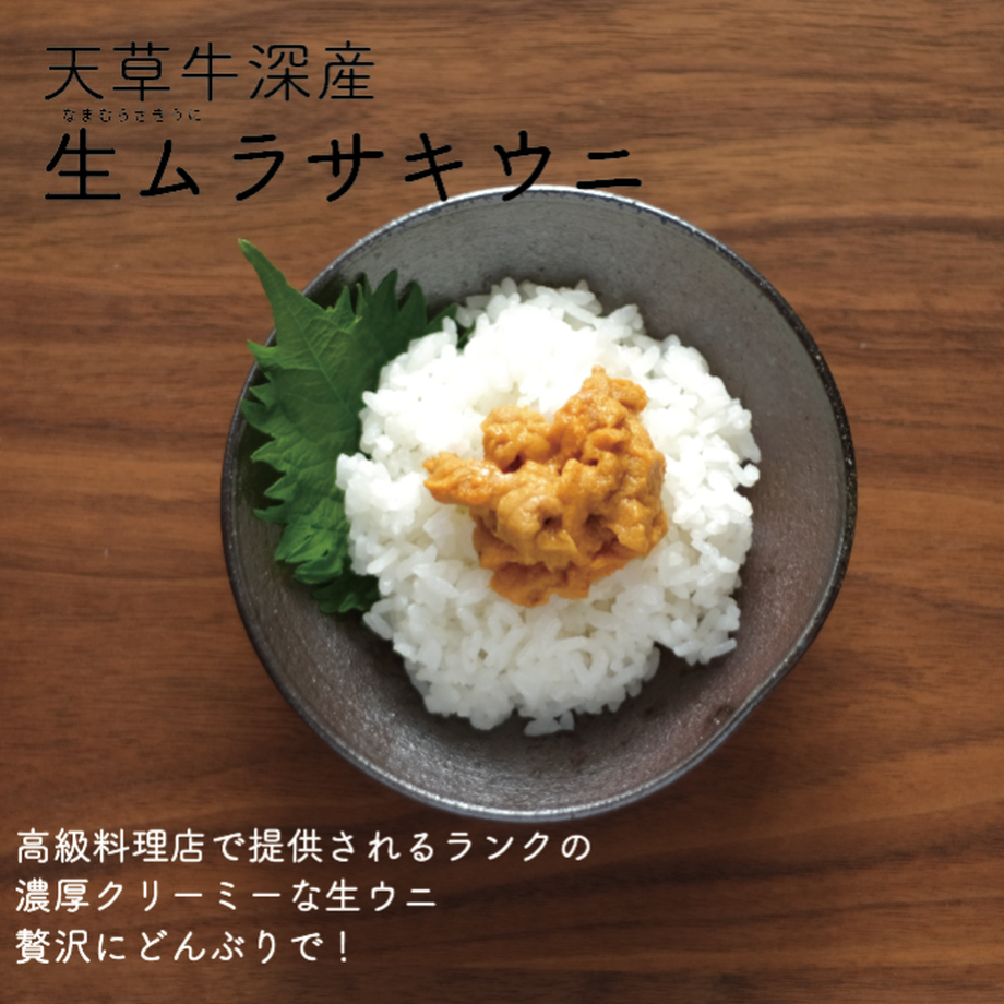 5ebf93c455fa033d5a713c0d