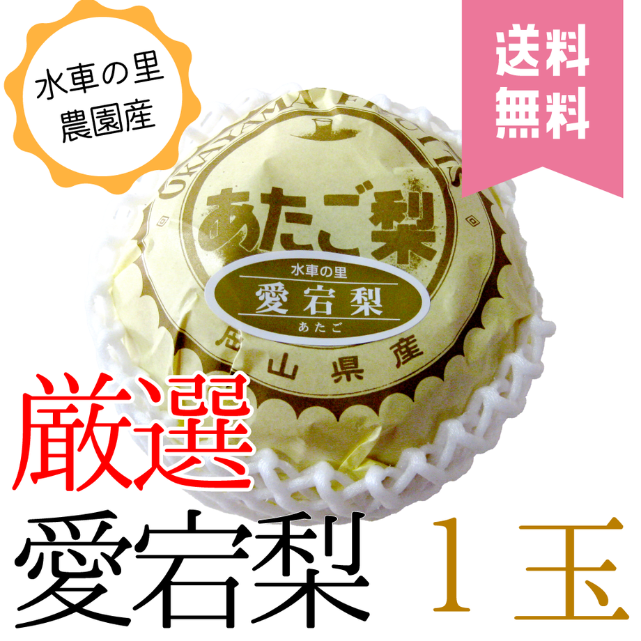 6181e077c15c5a39f48b871c