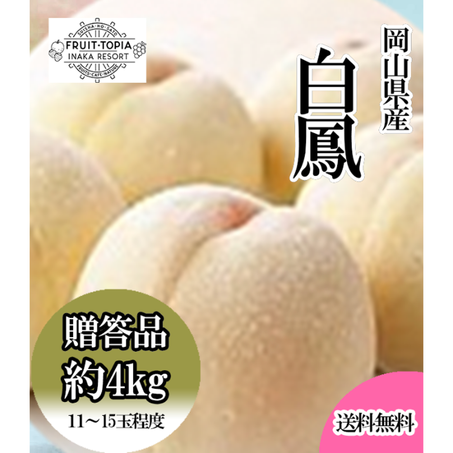 62887a168d26fa45b9b31f65