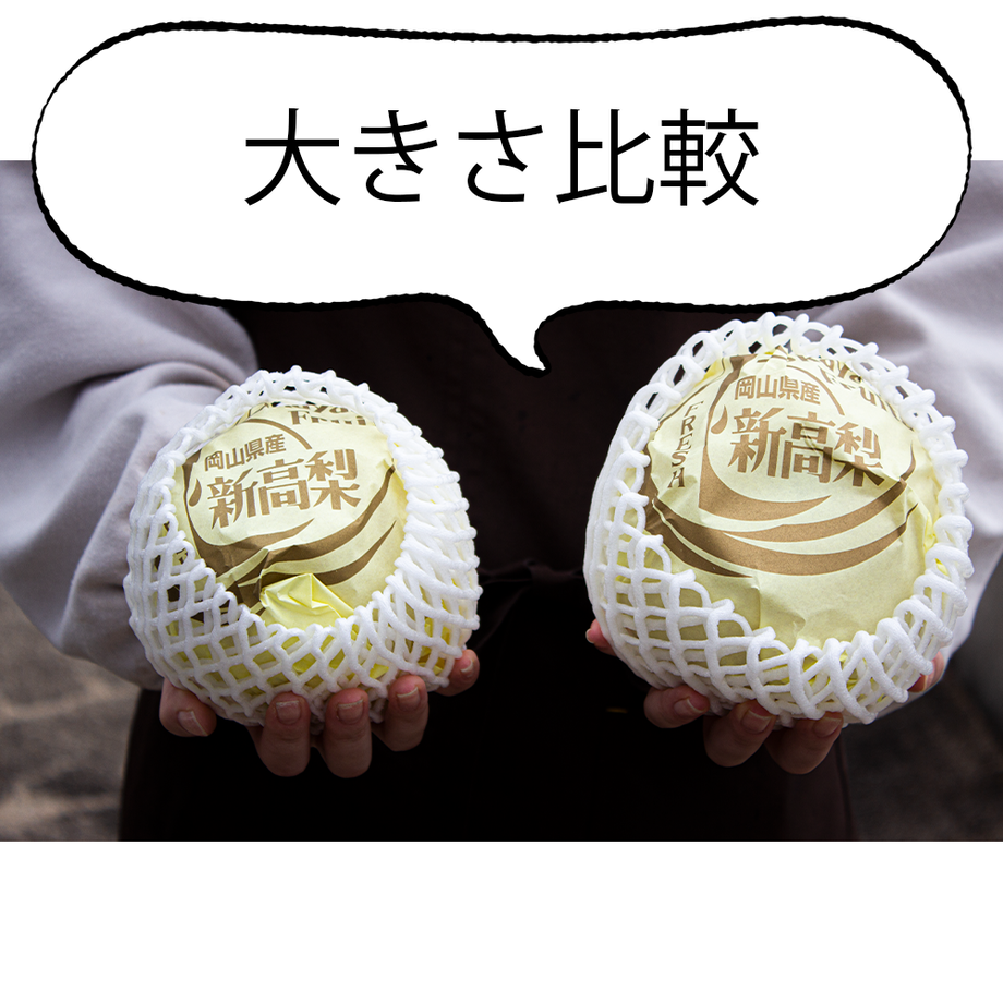 615e913b8c1a5b3e9dfd7a63