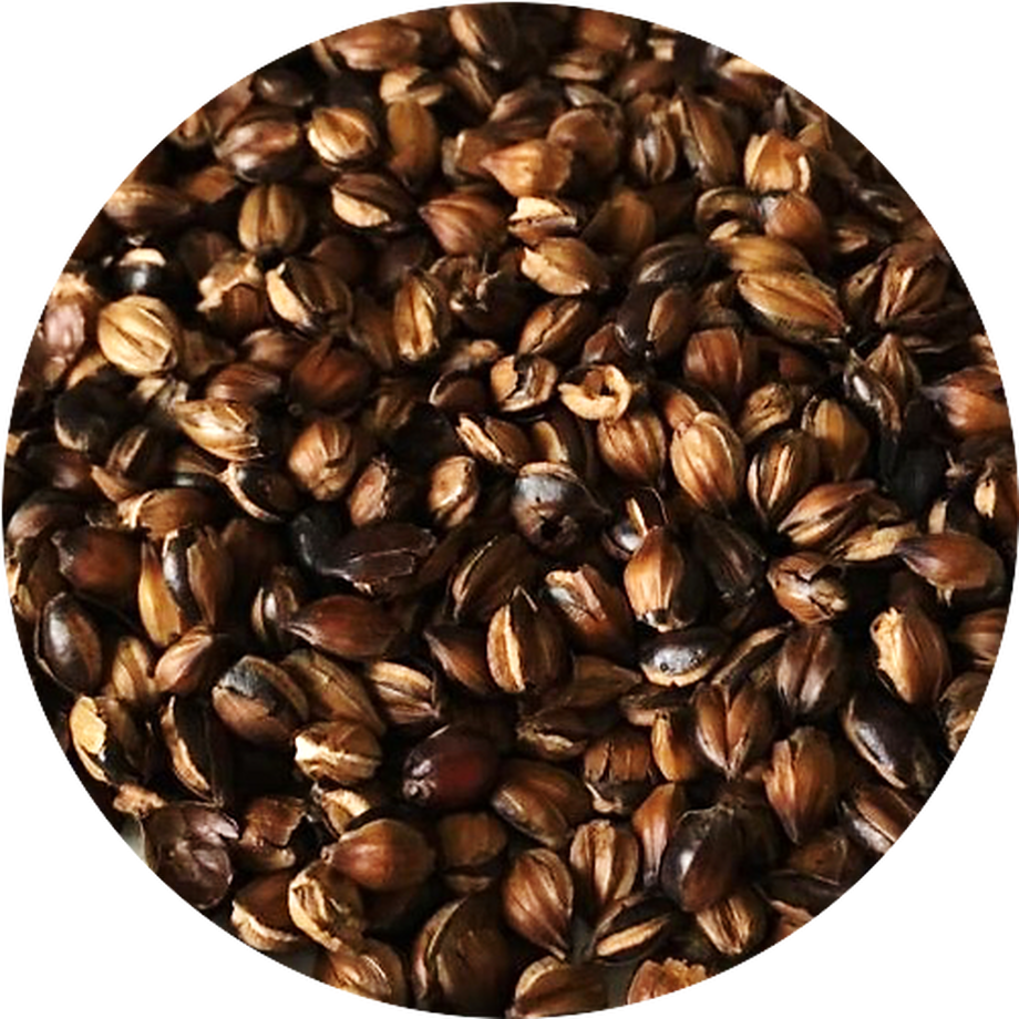 5ecb0d5655fa03448df3e18e