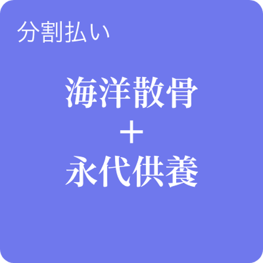 5f3cb4077df2813fcaf9ceb4