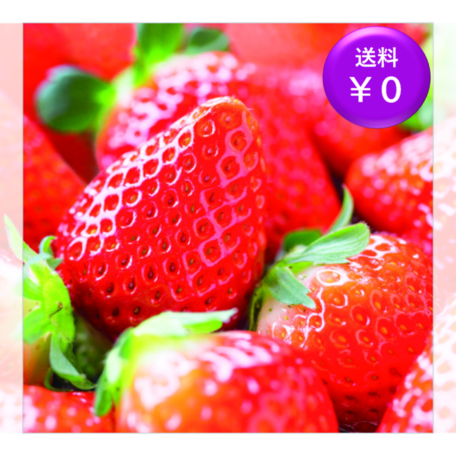 619d95f0fda1da0f2e84bf01