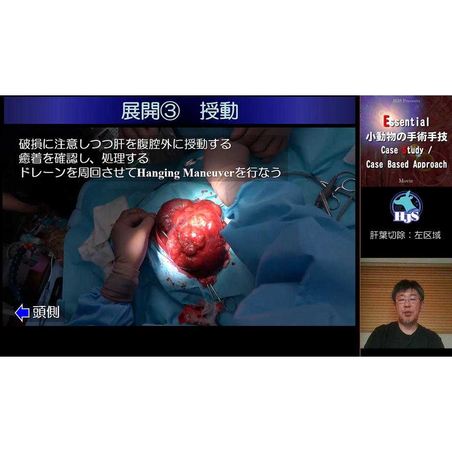 62e3f6b4ac366146db5e040e